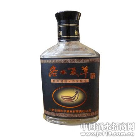 產品推廣 內蒙古騰格爾酒業